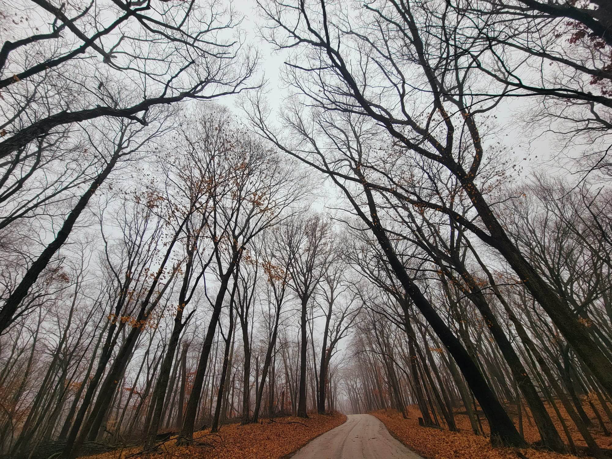 Macbride Nature Recreation Area (MNRA)