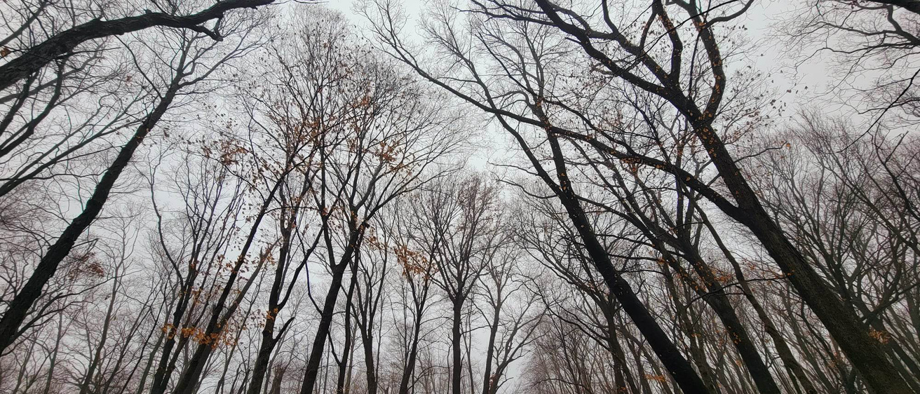 Macbride Nature Recreation Area (MNRA)