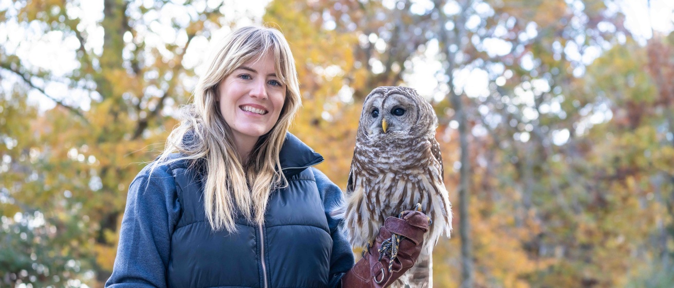 Blonde woman holds barred owl on the glove in autumn forest.