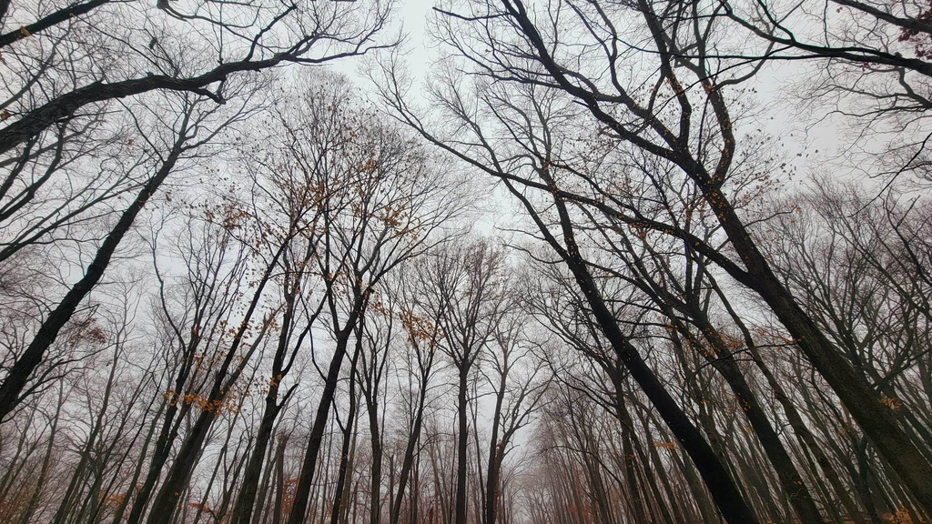 Macbride Nature Recreation Area (MNRA)