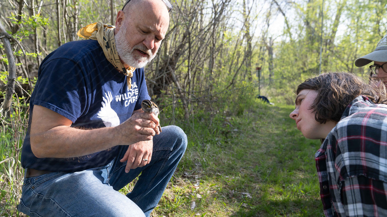 IRP director Dave Conrads holding a small bird 